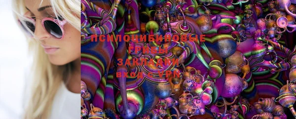 гидра Киренск