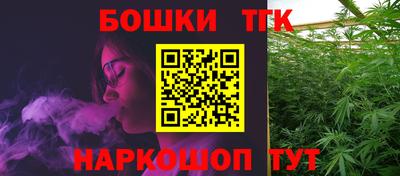 индика Кулебаки